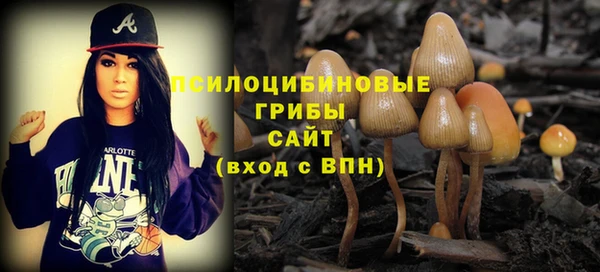 винт Аркадак