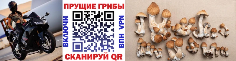 Галлюциногенные грибы ЛСД Учалы